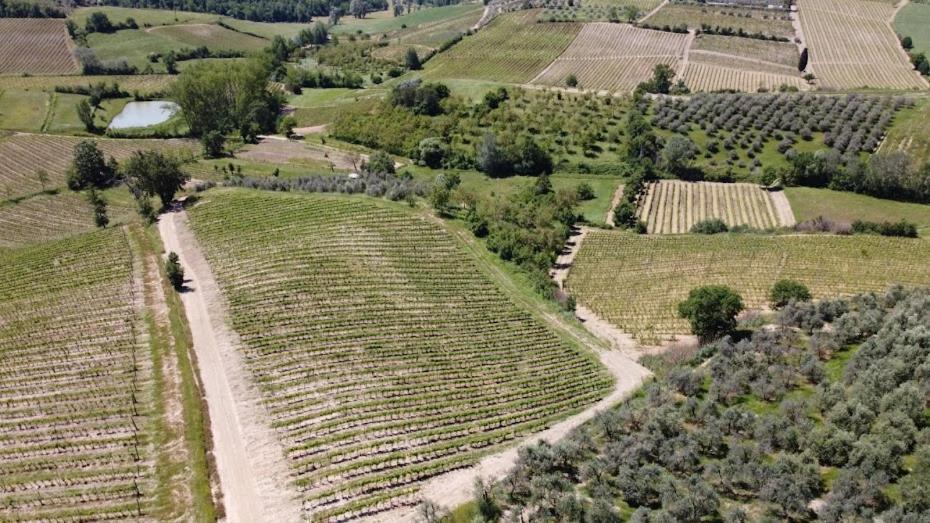 Poggio Al Sole Lägenhet Montespertoli Exteriör bild